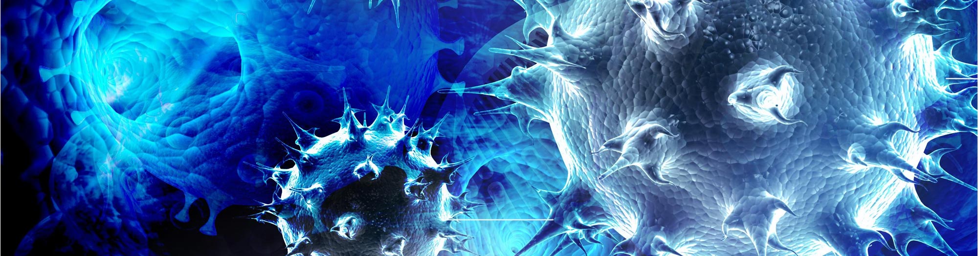 Le fonctionnement du cerveau